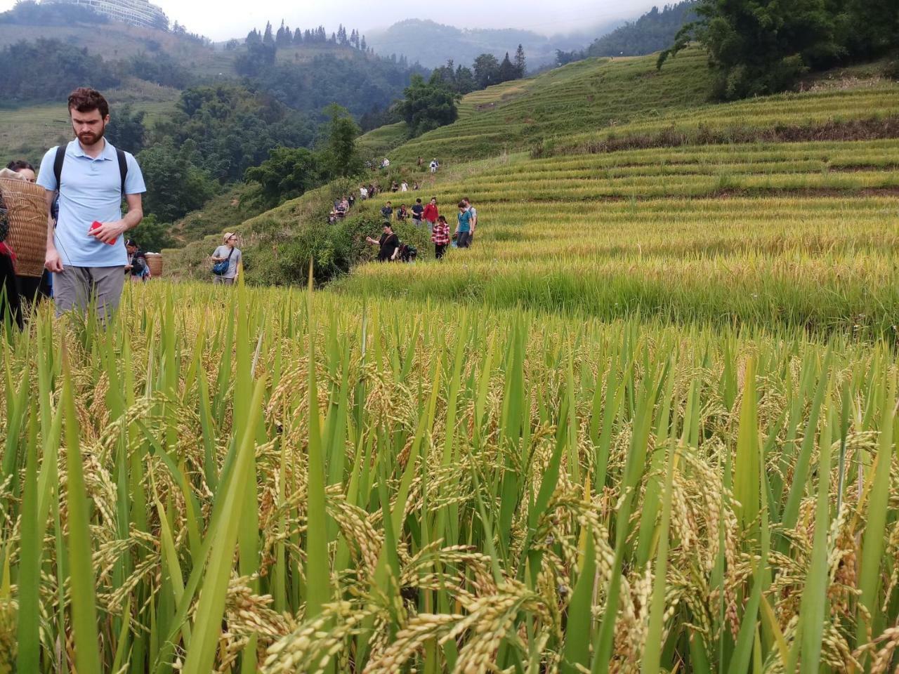 Tuongmai Home & Trekking Tour Sapa Exterior photo