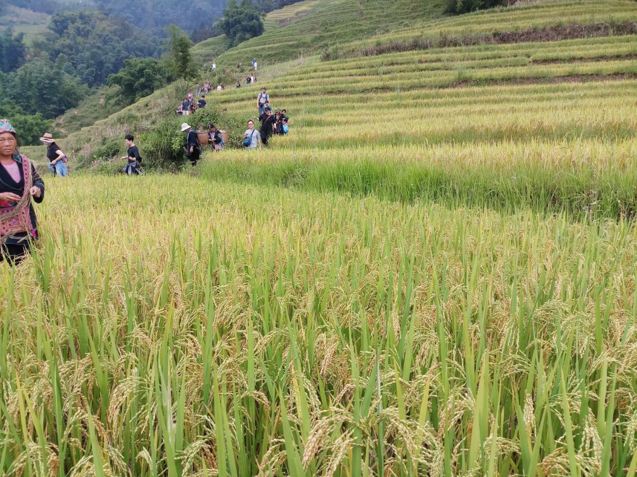 Tuongmai Home & Trekking Tour Sapa Exterior photo